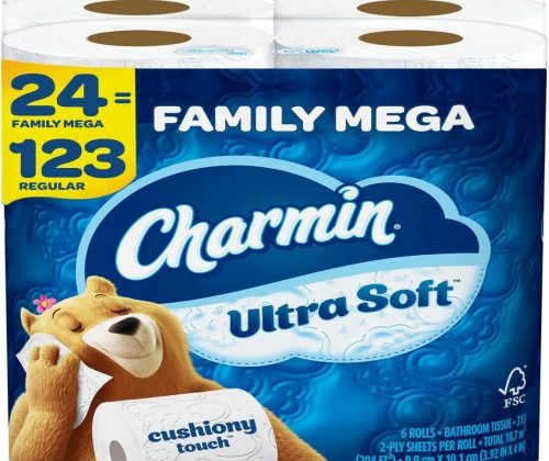 Charmin Ultra Soft Toilet Paper: The Ultimate Bathroom Essential