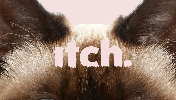 Discover the Purr-fect Pet Products at ITCHpet!