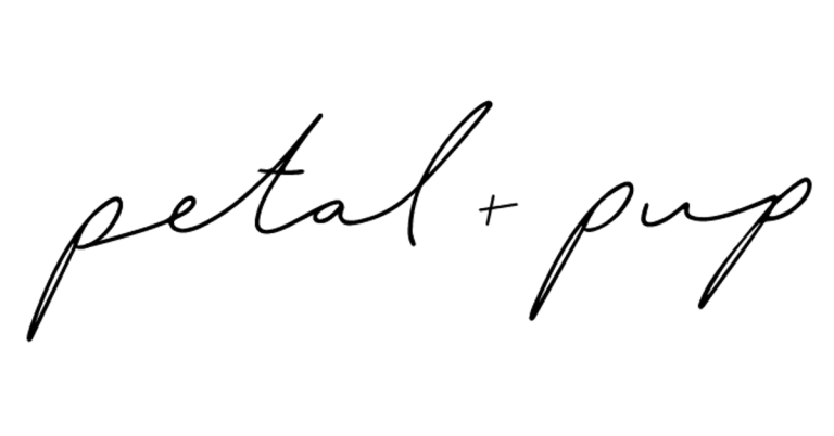 Petal & Pup: Your Go-To Online Fashion Destination for Affordable and On-Trend Women’s Fashion