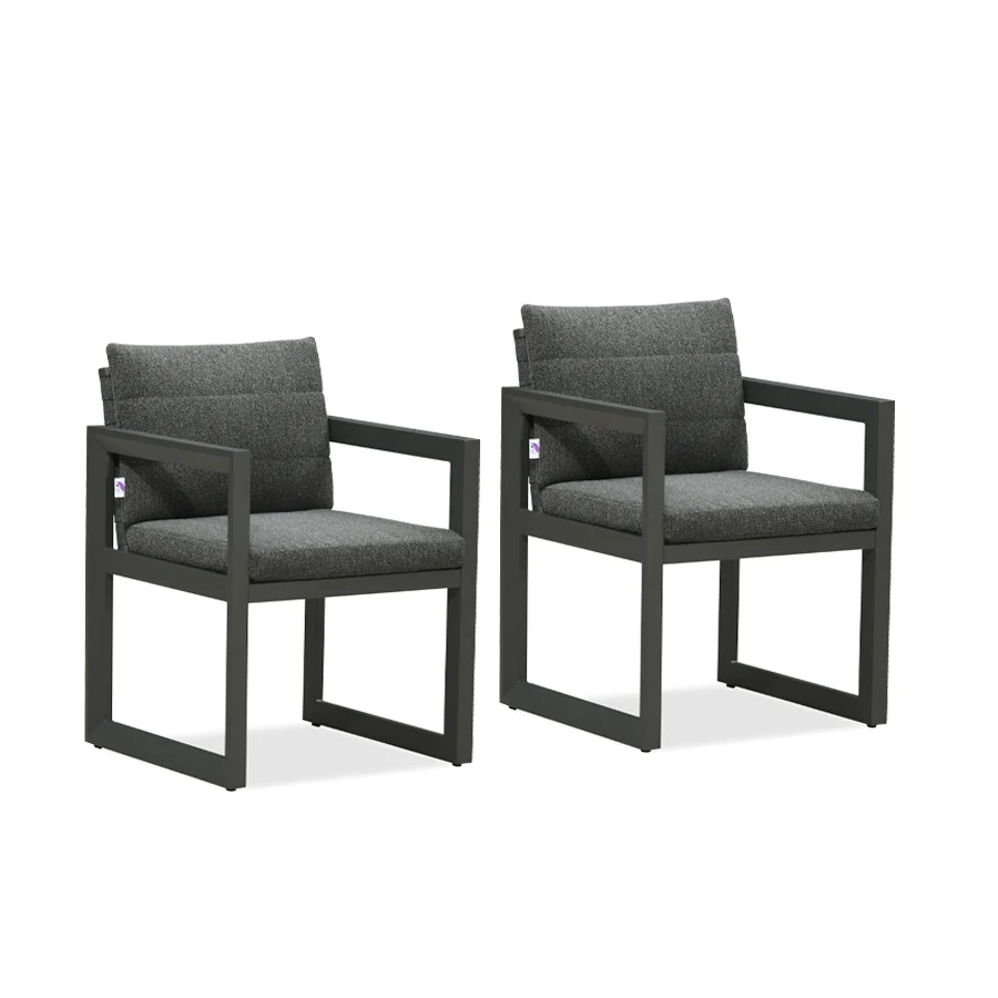 PURPLE LEAF Caesar 2-Pieces Patio Dining Chairs Aluminum Luxury Chairs with Olifen Removable Thick Cushion and Pillow for Garden Deck