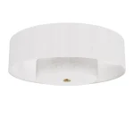 Brookside 30 Inch Ceiling Fan with Light Kit by Hunter Fan