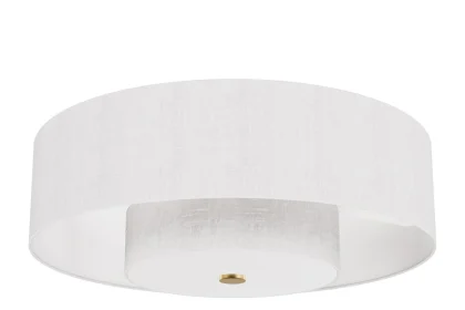 Brookside 30 Inch Ceiling Fan with Light Kit by Hunter Fan