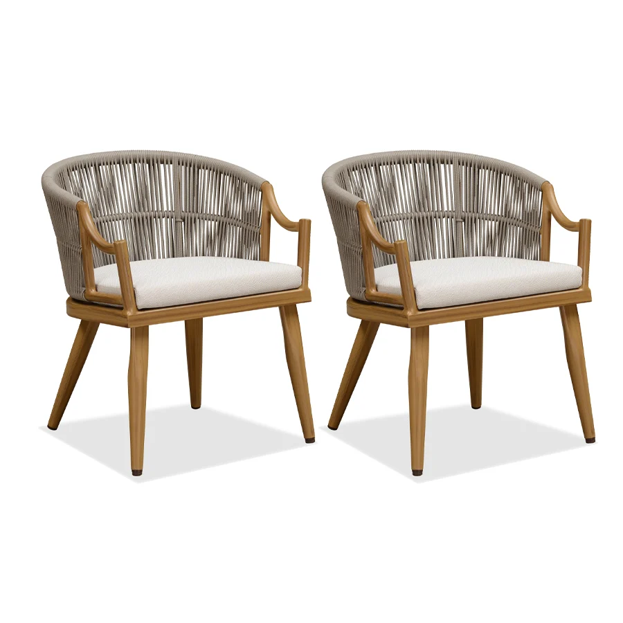 PURPLE LEAF Outdoor Dining Chairs Set of 2 Modern Furniture Chairs with Comfortable Cushions and Aluminum Frame for Outdoor, Indoor, or Kitchen