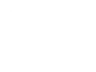 The Avis Mobile App