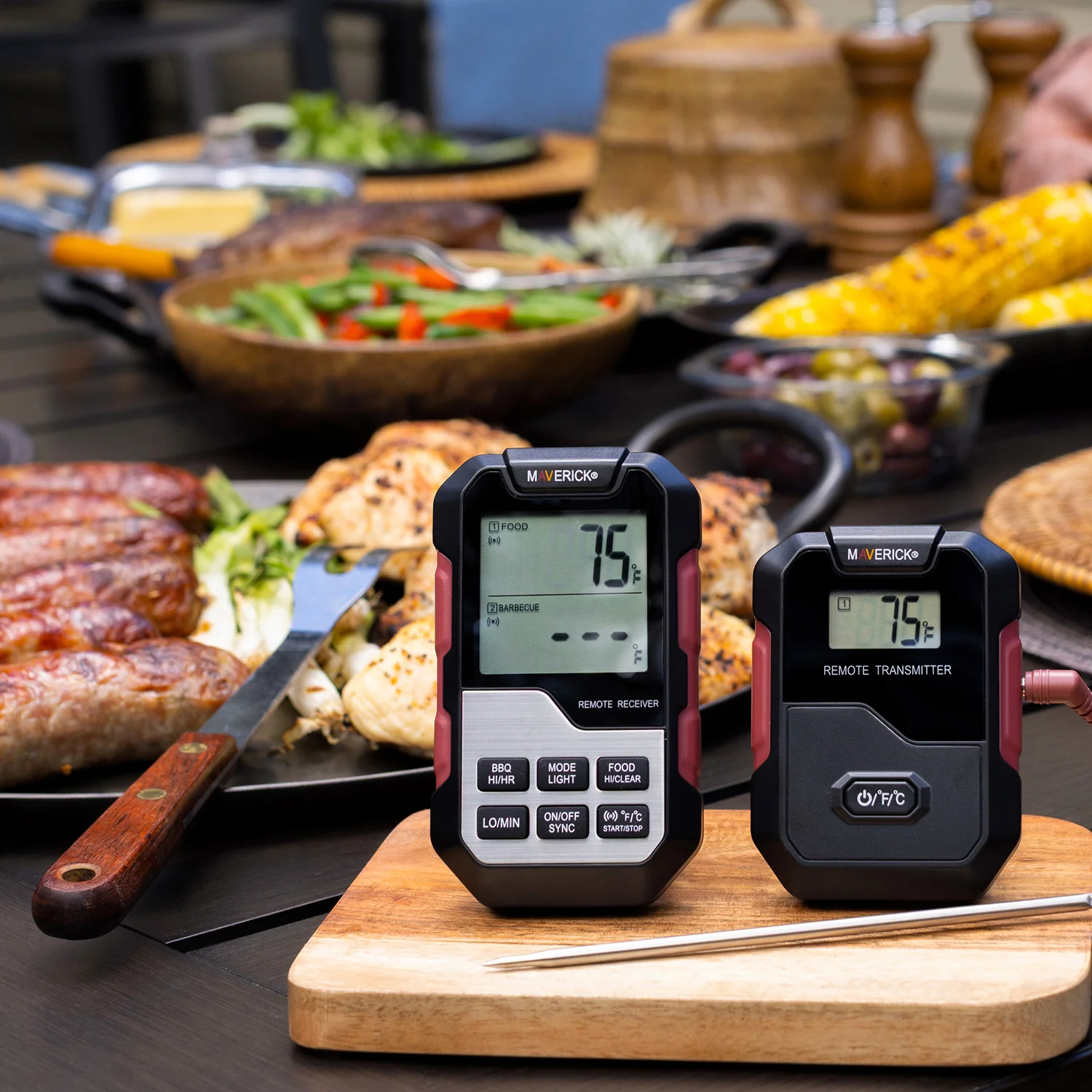 1,000-Ft. Meat and Grill Temperature Monitor