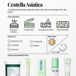Beauty Amora Curated K-Beauty Highlights
