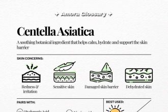 Beauty Amora Curated K-Beauty Highlights