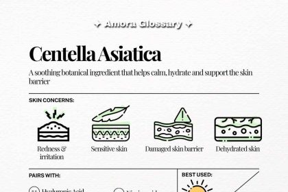 Beauty Amora Curated K-Beauty Highlights