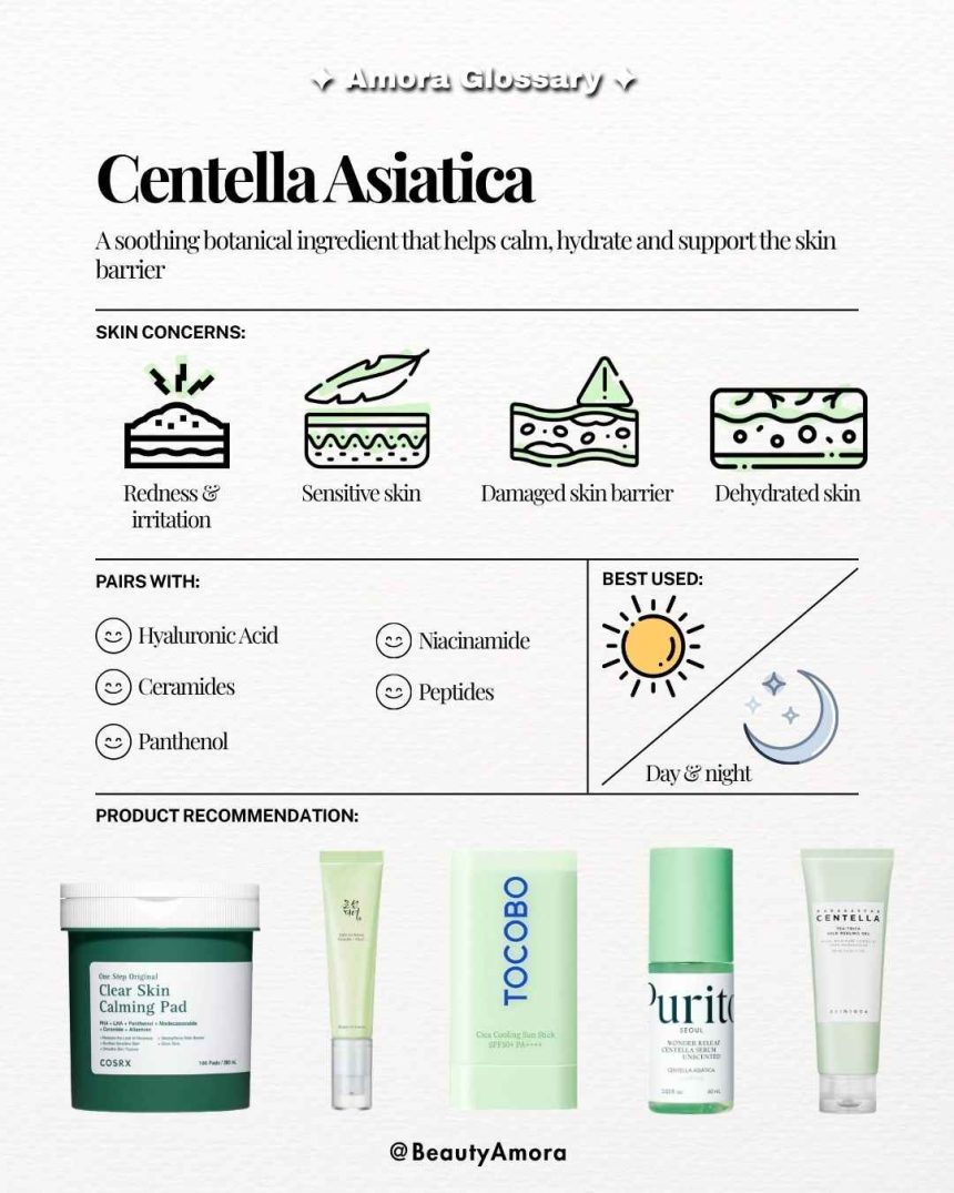 Beauty Amora Curated K-Beauty Highlights