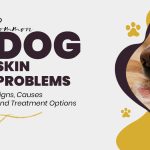 Common Dog Skin Problems: Signs, Causes and Treatment Options