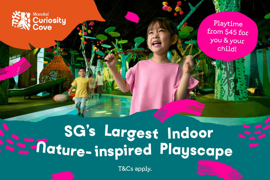 Curiosity Cove Indoor Nature Playscape