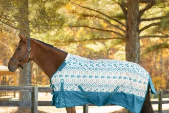 Equinavia Norse Full Neck Turnout Sheet