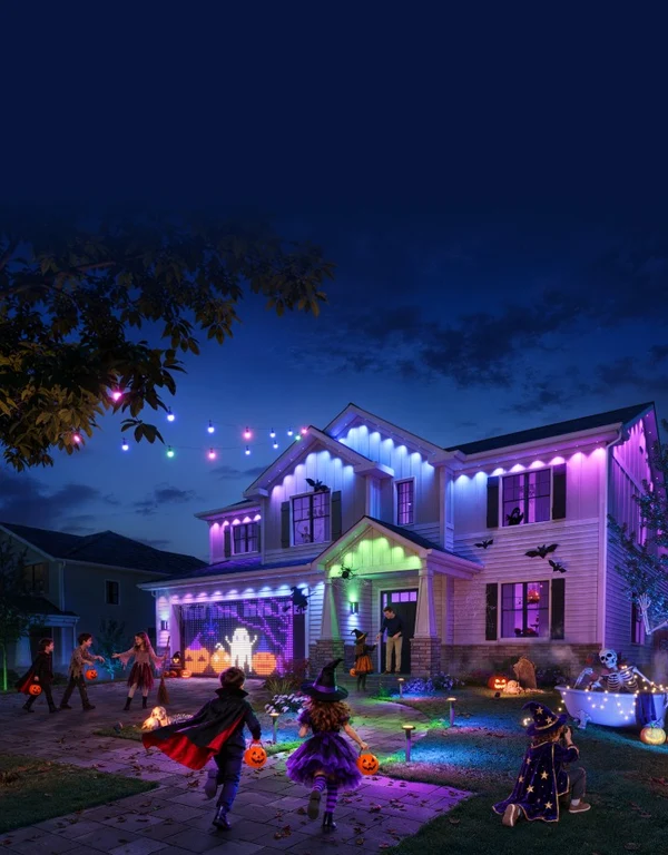 Govee Curtain Lights &amp; Holiday Series