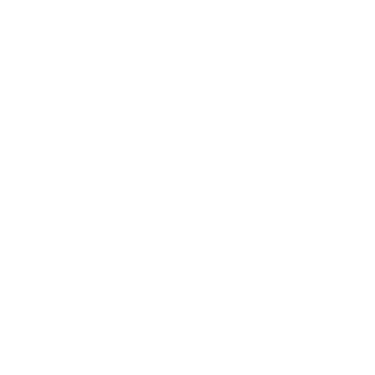 The Avis Digital Mobile App